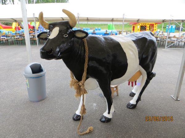 krowa na imprezę rekreacja, zabawa, dzieci, zjeżdżalnie dmuchane, zamki dmuchane
